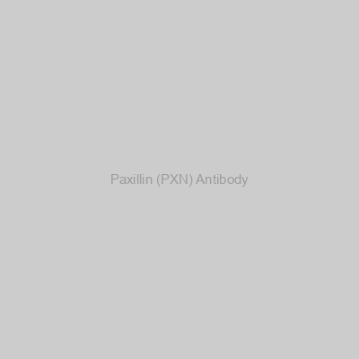 Abbexa - Paxillin (PXN) Antibody